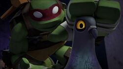 TMNT12 Raphs Pigeon