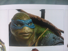 Leonardo 2014 face art