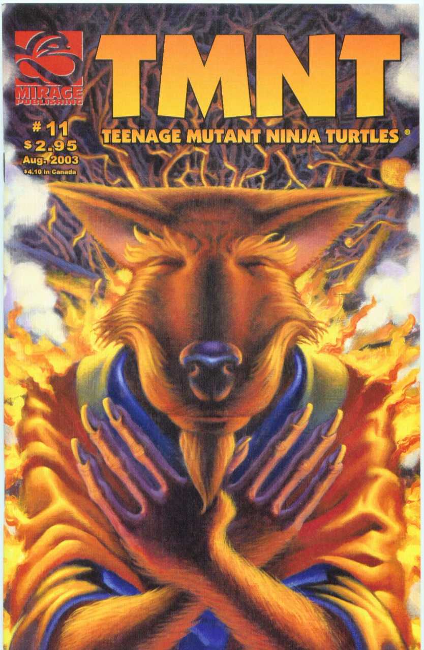 Watch Teenage Mutant Ninja Turtles Volume 4