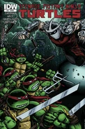 Issue 35 cover RE Kevin Eastman Fan Club SDCC by Kevin Eastman, Peter Laird & Steve Lavigne.