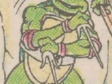 Raphael (TMHT comic strips)