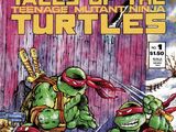 A Tale of the Teenage Mutant Ninja Turtles