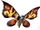 Mothra