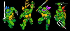 Tmnt vid