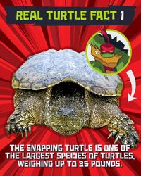 Raph turtle fact