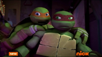 Raph and Mikey 003