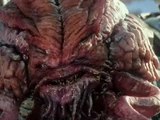 Krang (2014 film series)