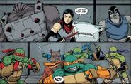 TMNT92IDW-5