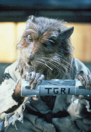 Kinopoisk.ru-Teenage-Mutant-Ninja-Turtles-II 3A-The-Secret-of-the-Ooze-840137
