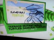 SamuraiTurtles.jpg