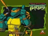 Tmnt 2003 Michelangelo Poster