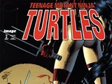 Teenage Mutant Ninja Turtles issue 2 (Image)