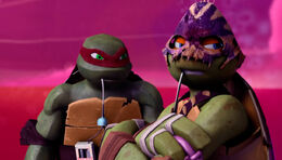 Mikey-and-Raph-TMNT-53