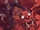 Chi-You's thralls