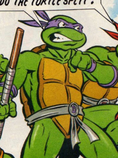 Donatello Splinterson (2003 TV series), TMNTPedia, FANDOM powered by  Wikia