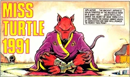TMHT-MissTurtle1991-title