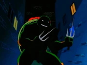 Raph shadows saie5202a