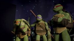 New Girl in Town, TMNTPedia