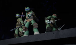 Donnie-Leo-and-Raph-tmnt-2012-46