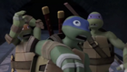 Scaredturtles