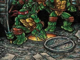 Teenage Mutant Ninja Turtles: The Ultimate Collection Volume 1