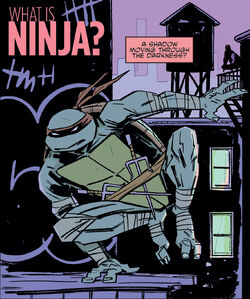 What is Ninja.jpg
