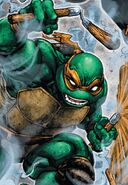 Michelangelo Batman/TMNT