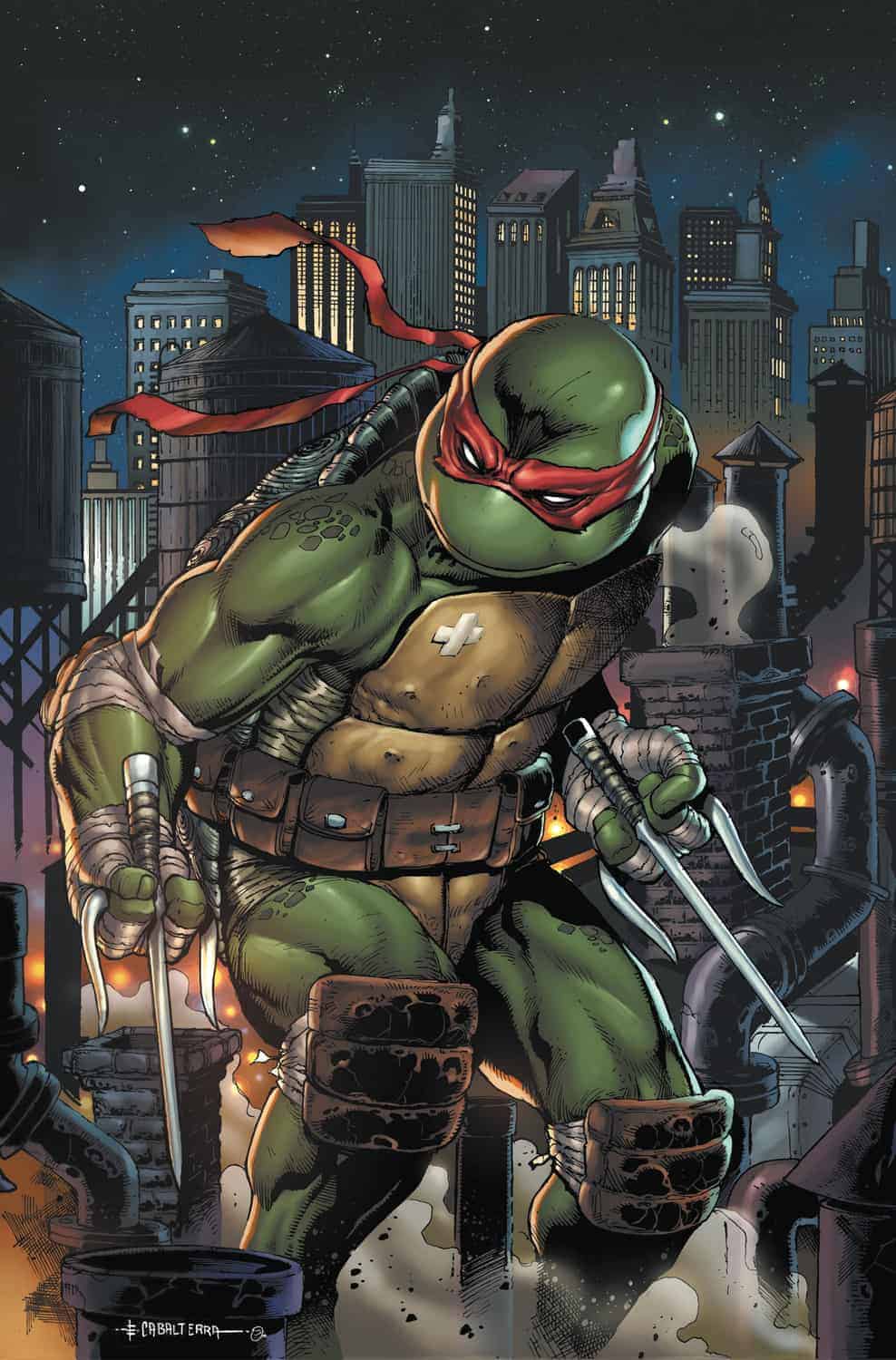 12 Raphael Ninja Turtle Death Judith E Cole 4049