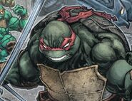 Raphael Batman/TMNT