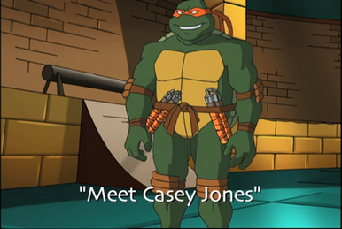 https://static.wikia.nocookie.net/tmnt/images/9/9a/Meet_Casey_Jones.PNG/revision/latest/smart/width/386/height/259?cb=20200929033610