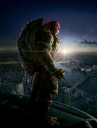 Raphael 2014 Textless Poster