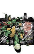 TMNT 7C