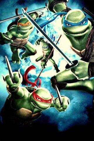 Teenage Mutant Ninja Turtles Animated Series Donatello 14 Scale Figure