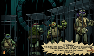 Turtles in Comic