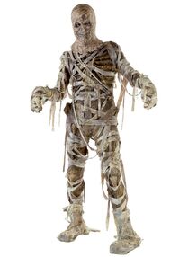 Mummy costume