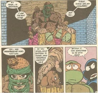 The Turtles entering Ha'ntaan's lair.
