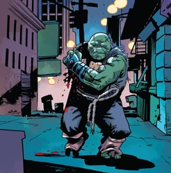 Future raph idw.png (763 KB) Raphael (future) IDW Publishing