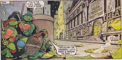 TMHT-MissTurtle1991-11