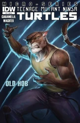 Old Hob Micro-Series issue