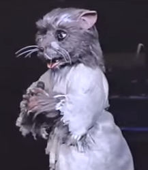 Splinter Coming Out of Their Shells and Gettin' Down in Your Town