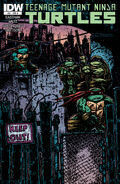 Issue 47 Regular Cover B by Kevin Eastman.