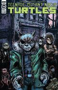 by Kevin Eastman