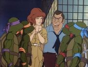 87 Kellerman Turtles