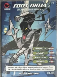 Foot Ninja, Shuriken Star Attack Way of the Ninja