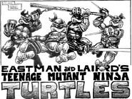 TMNT v1 1 04