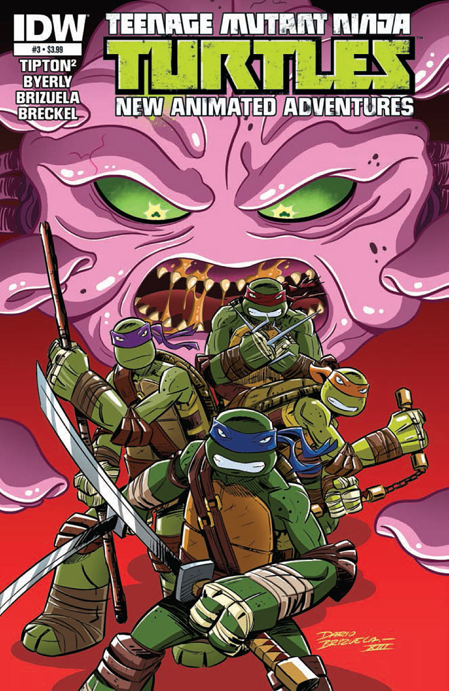 Teenage Mutant Ninja Turtles #3B, Standard, IDW Comics