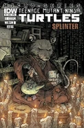Teenage Mutant Ninja Turtles Micro-Series issue 5: Splinter