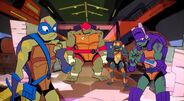 The Turtles