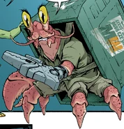 Herman the Hermit Crab