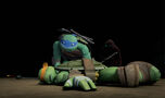 Leo-And-Mikey-tmnt-2012-78